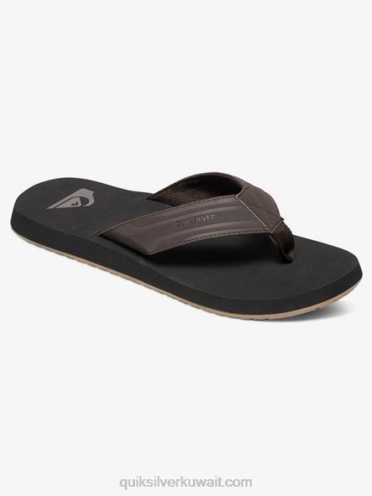 الصنادل القرد وجع Quiksilver رجال 68001646 بني / أسود