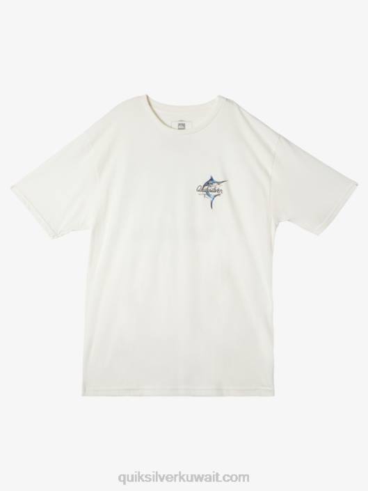 جمال الماء في تي شيرت البحر Quiksilver رجال 680050 سنو وايت