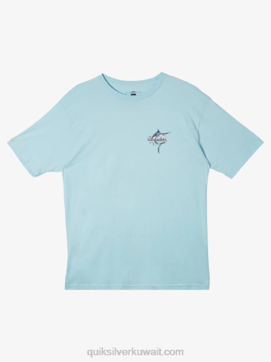 جمال الماء في تي شيرت البحر Quiksilver رجال 680051 مائي