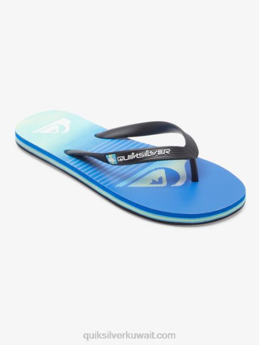 شبشب فن مولوكاي Quiksilver رجال 6800518 أسود / أخضر / أزرق