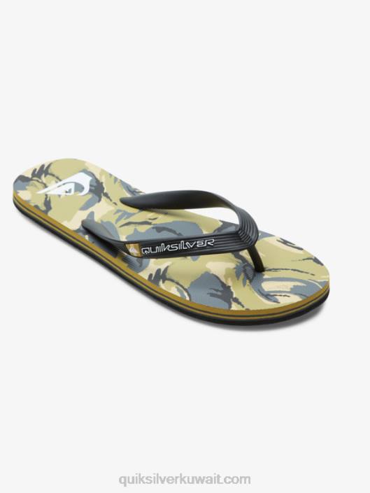 شبشب فن مولوكاي Quiksilver رجال 6800522 أسود / رمادي / بني