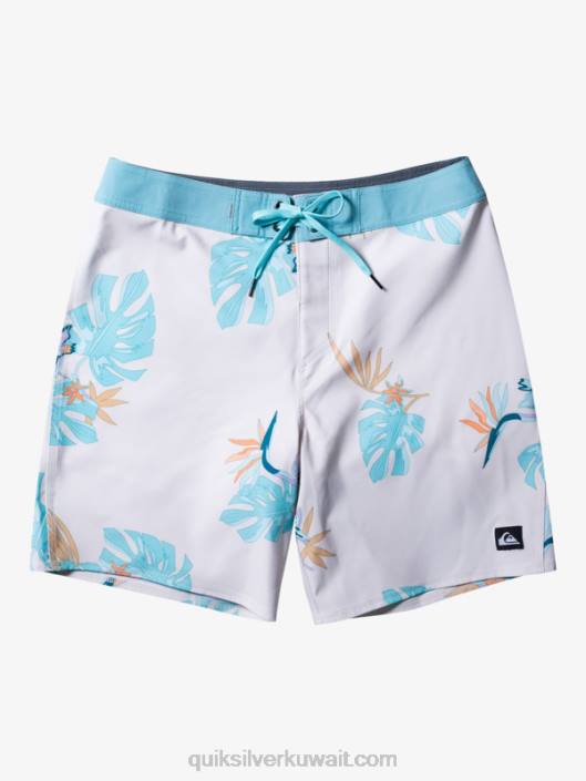 Surfsilk qs 69 18 شورت بورد Quiksilver رجال 6800238 البتولا