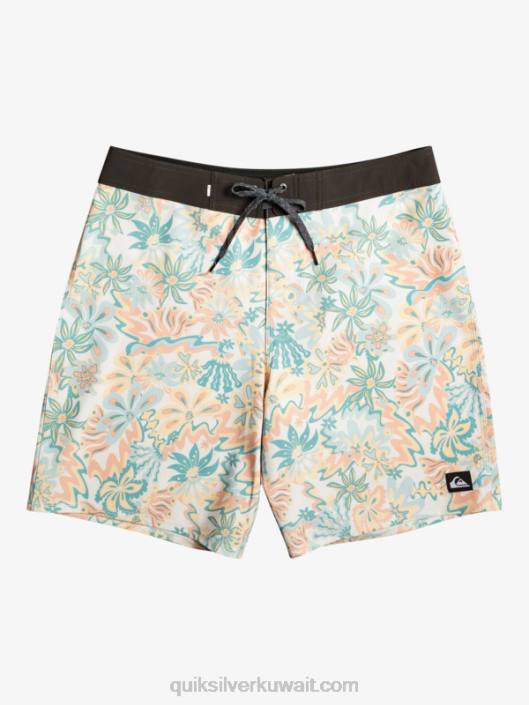Surfsilk qs 69 18 شورت بورد Quiksilver رجال 6800242 البتولا