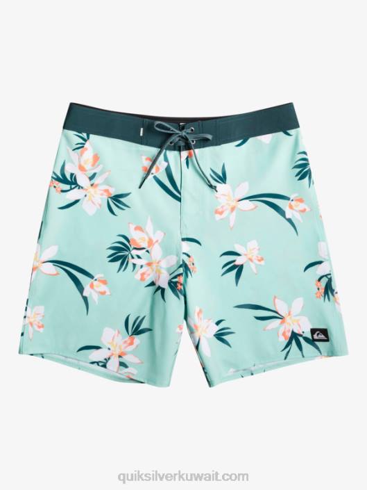 Surfsilk qs 69 18 شورت بورد Quiksilver رجال 6800244 زجاج الشاطئ