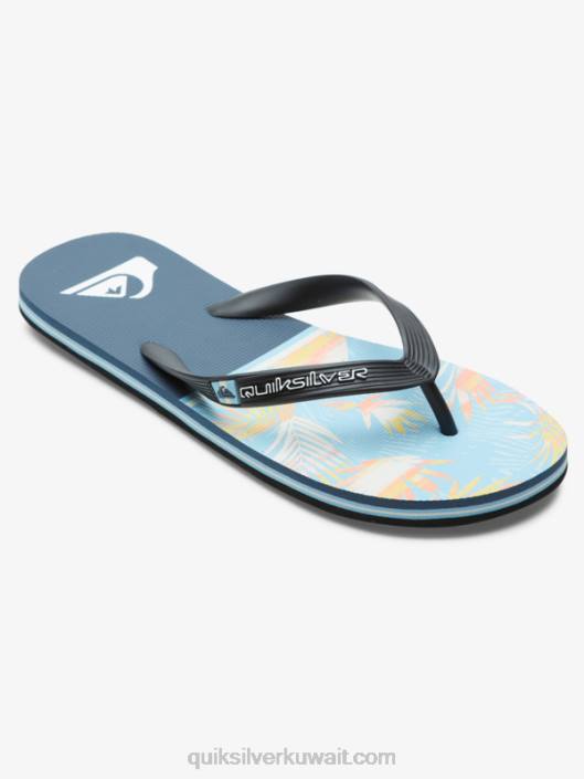 يتخبط تقسيم molokai Quiksilver رجال 68001638 أزرق 1