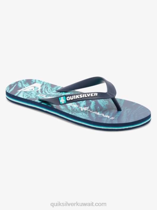 شبشب molokai محلي Quiksilver رجال 68001861 أخضر 1