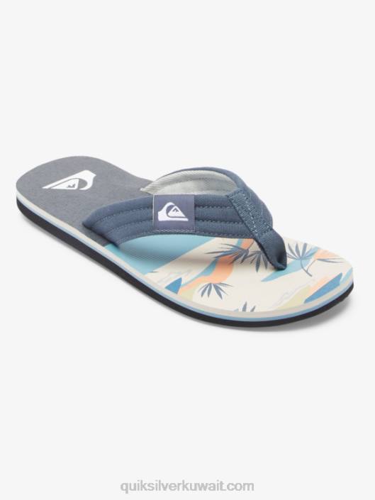 الصنادل molokai الاستلقاء Quiksilver رجال 6800494 رمادي / أبيض