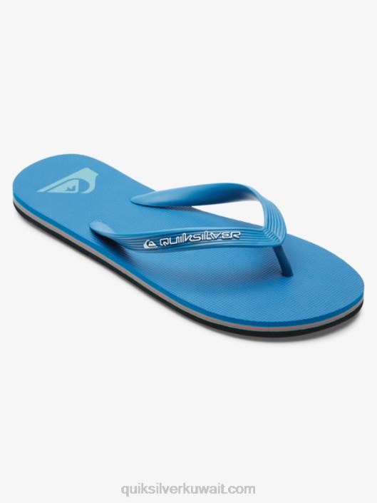 شبشب molokai الأساسية Quiksilver رجال 6800596 أزرق 2