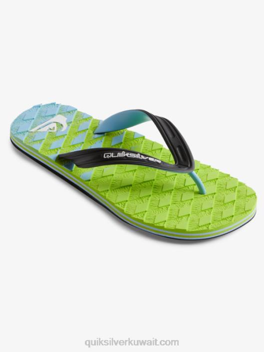 الصنادل oahuey Quiksilver رجال 6800748 أخضر 1