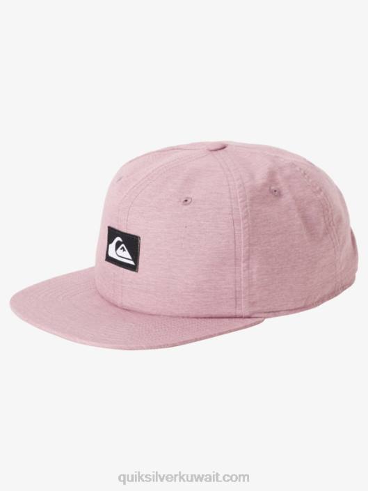 قبعة snapback الدولار الفضي Quiksilver رجال 68001666 هيذر الأوركيد الغامق